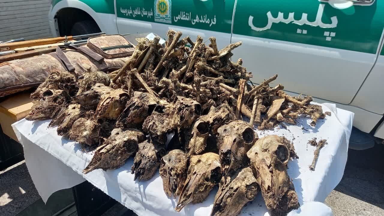راز هولناک چاه آب در حاشیه پارک ملی موته؛ ۴۱ جمجمه بیرون آمد/ عکس