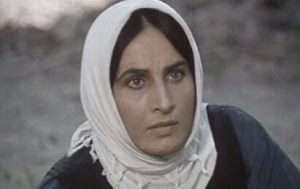 روایت تغییر مسیر بازیگران ایرانی/ از ستاره سینما و فعالیت‌های بشردوستانه تا بیوتی بلاگر و چهره شبکه‌های اجتماعی