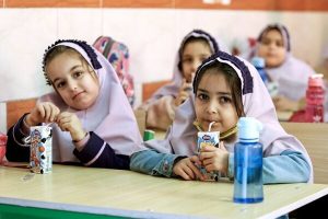 شیوه‌نامه توزیع شیر مدارس نیاز به اصلاح دارد - خبرگزاری مهر | اخبار ایران و جهان
