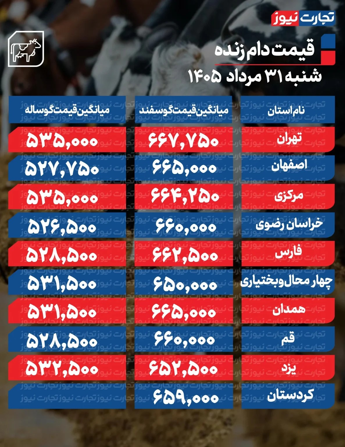 قیمت جدید دام‌زنده ۳۱ مردادماه ۱۴۰۵/ قیمت گوسفند و گوساله چه تغییری کرد؟ + جدول