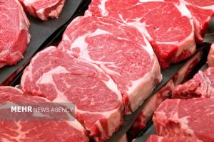 مزایای مصرف پروتئین برای طول عمر - خبرگزاری مهر | اخبار ایران و جهان