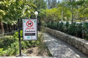 ممنوعیت سگ‌گردانی در بوستان‌ها و فضاهای سبز در این شهر مذهبی