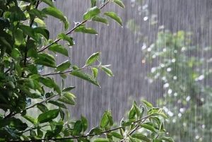 هشدار هواشناسی برای ۸ استان