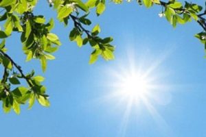 پیش‌بینی هوای آرام در یزد؛ تغییرات دمایی ناچیز است - خبرگزاری مهر | اخبار ایران و جهان