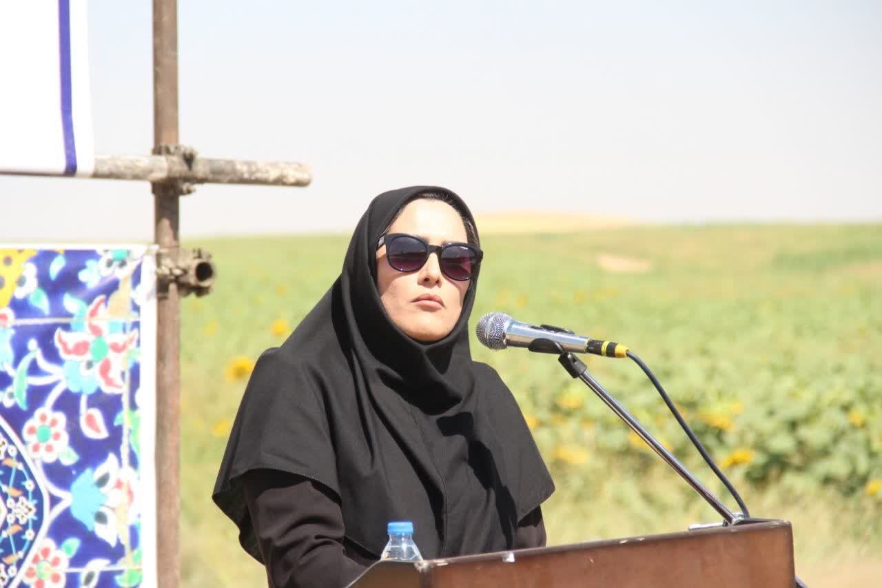 کشت آفتابگردان پاسخی کارشناسی به ضرورت اصلاح و تنوع الگوی کشت