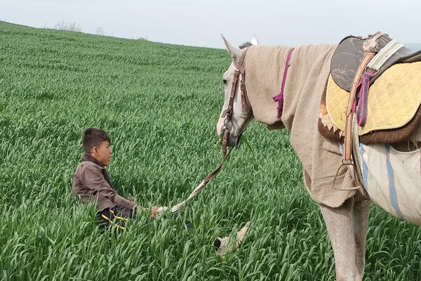 کوبیدن سیلی واقعیت برصورت رویا؛ سینمای مستند از مساله اکران رنج می‌برد - خبرگزاری مهر | اخبار ایران و جهان