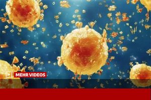 افزایش کرونا و آنفولانزا در ۳ هفته اخیر - خبرگزاری مهر | اخبار ایران و جهان