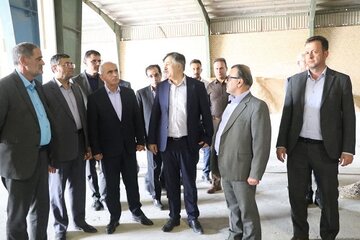 بازدید معاون وزیر جهادکشاورزی از روستابازار نمونه بوئین‌زهرا