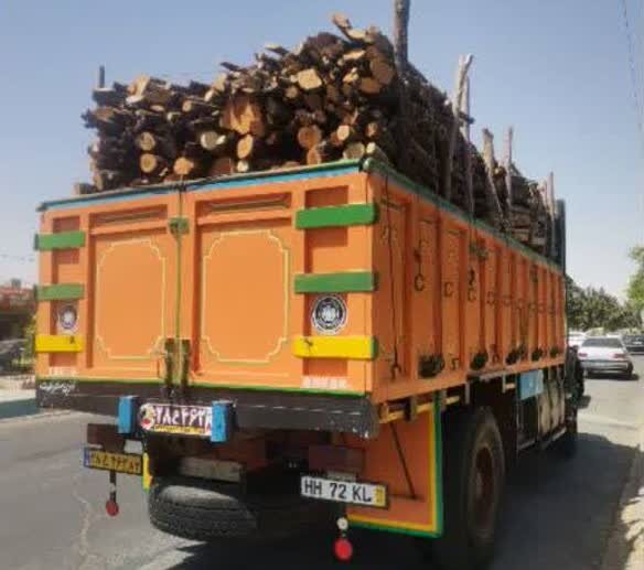 توقیف۲۳هزار و ۸۱۴ کیلوگرم چوب قاچاق در استان فارس