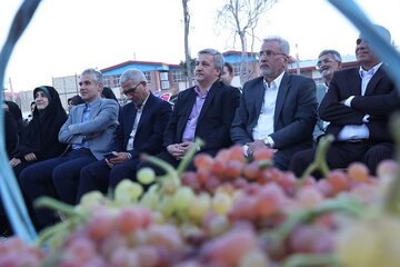 جشنواره ملی انگور در تاکستان آغاز شد