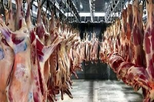 قیمت جهانی گوشت گوسفند اعلام شد/ هر کیلو گوشت وارداتی چند دلار برای ایرانیها تمام میشود؟