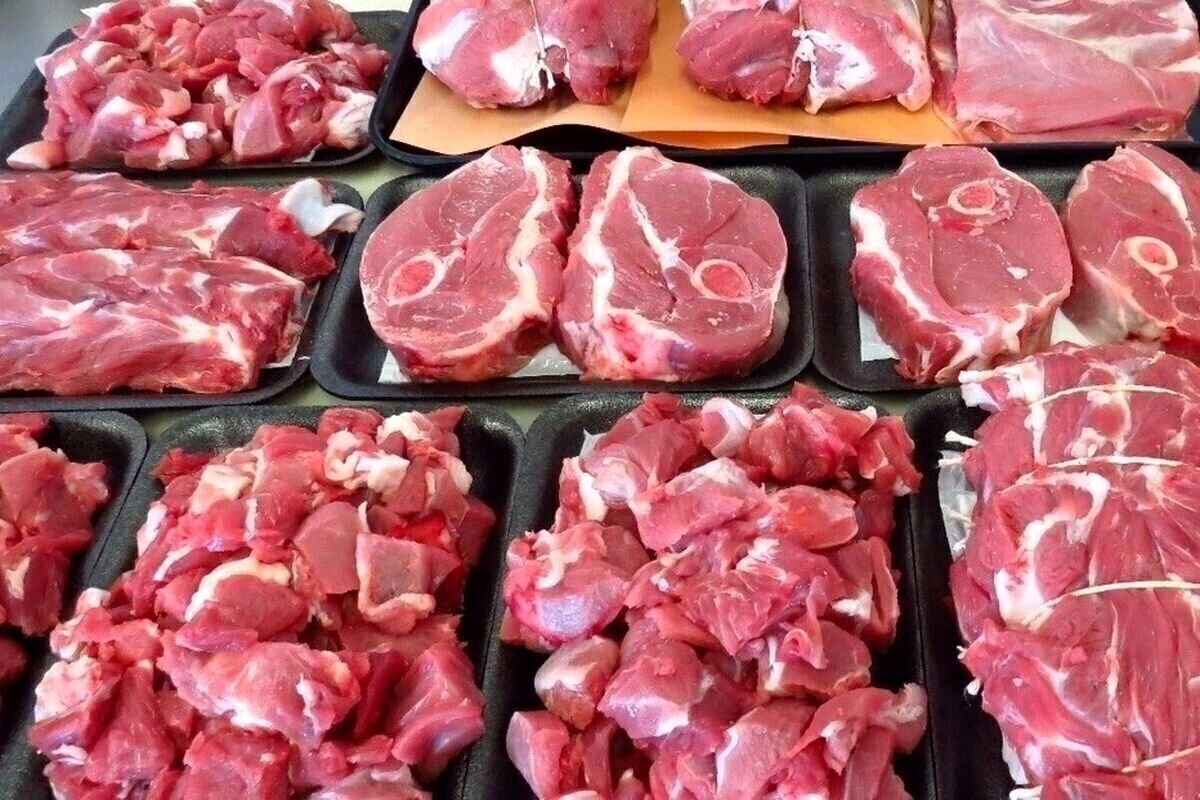 وعده رییس شورای تامین دام : قیمت گوشت در پاییز تغییر میکند