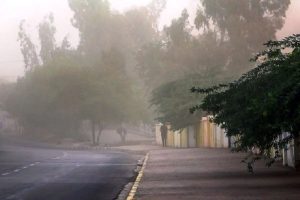 چرا بوی خاکِ نم‌ خورده  آرامش‌ بخش است؟/ آیا عطر باران جایگزین دارد