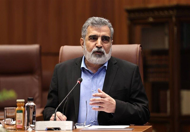 کمالوندی در کنفرانس آژانس: صنعت هسته‌ای ایران با حمله نظامی، خرابکاری و ترور از بین نمی‌رود