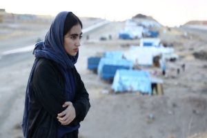 یک جایزه بین‌المللی برای «کوچ اجباری» - خبرگزاری مهر | اخبار ایران و جهان
